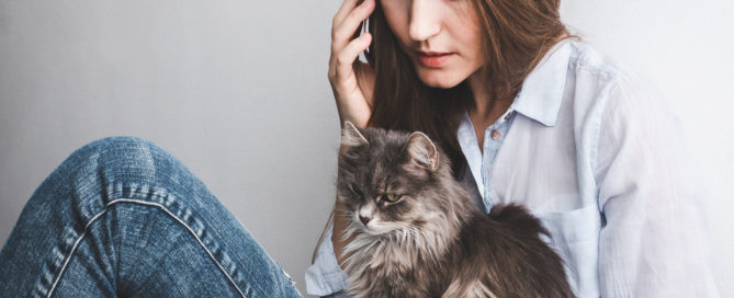 Eviction Due to Pets, North Richland Hills TX Eviction Lawyer