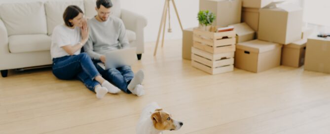 Couple with dog in new apartment using laptop.